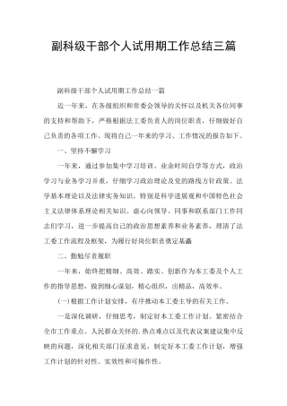 副科级干部个人试用期工作总结三篇