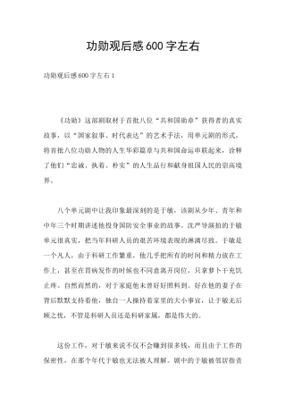 功勋观后感600字左右