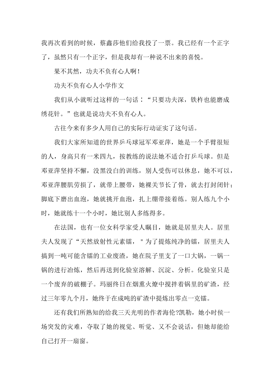 功夫不负有心人小学作文_第2页
