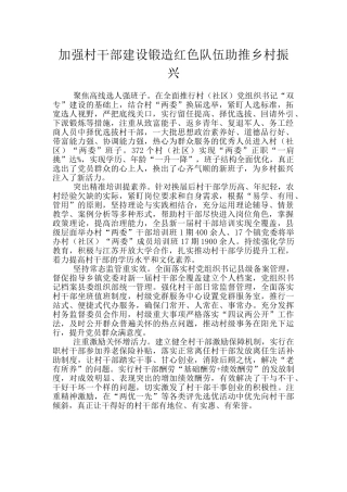 加强村干部建设锻造红色队伍助推乡村振兴