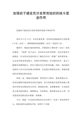 加强班子建设充分发挥党组织的战斗堡垒作用