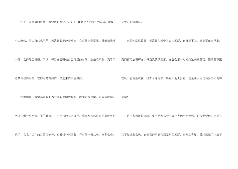 动物狗400字三篇_第3页