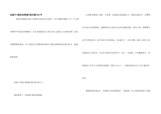 动画片《疯狂动物城》观后感500字