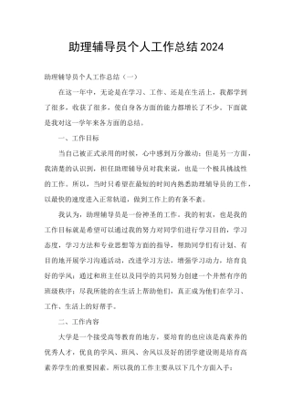 助理辅导员个人工作总结2024