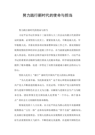 努力践行新时代的使命与担当