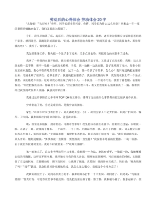 劳动后的心得体会