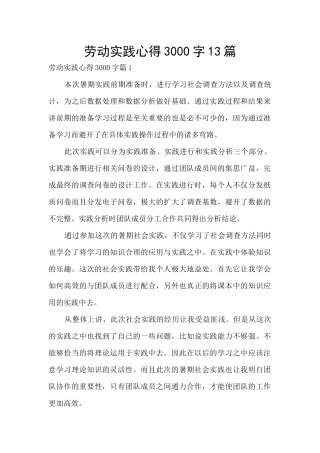 劳动实践心得3000字13篇
