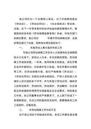劳动年检自查报告