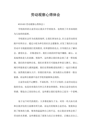 劳动观察心得体会