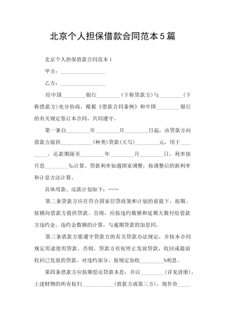 北京个人担保借款合同范本5篇