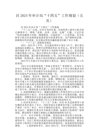 区2024年审计局“十四五”工作规划