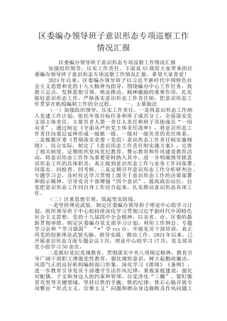 区委编办领导班子意识形态专项巡察工作情况汇报