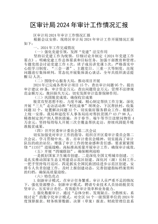 区审计局2024年审计工作情况汇报