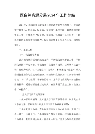 区自然资源分局2024年工作总结