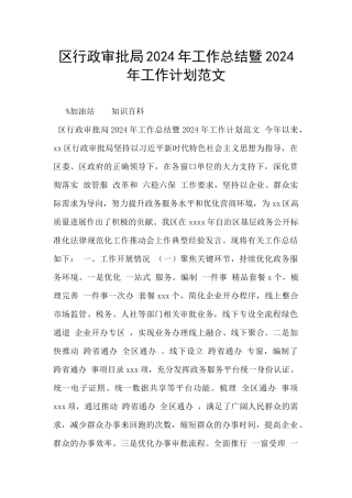 区行政审批局2024年工作总结暨2024年工作计划范文