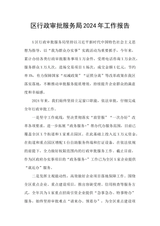 区行政审批服务局2024年工作报告