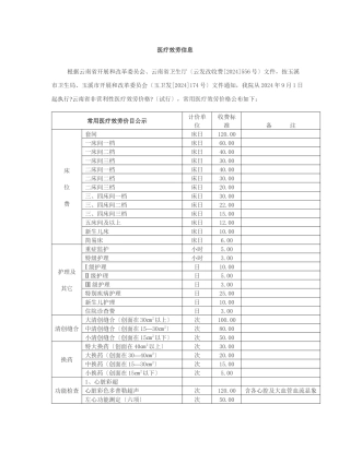 医疗服务信息doc