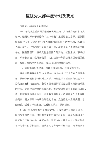医院党支部年度计划及要点