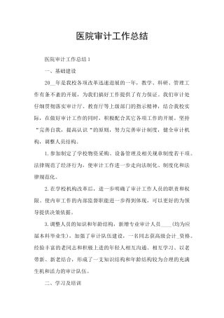 医院审计工作总结