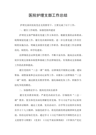医院护理支部工作总结