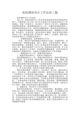 医院物价审计工作总结三篇