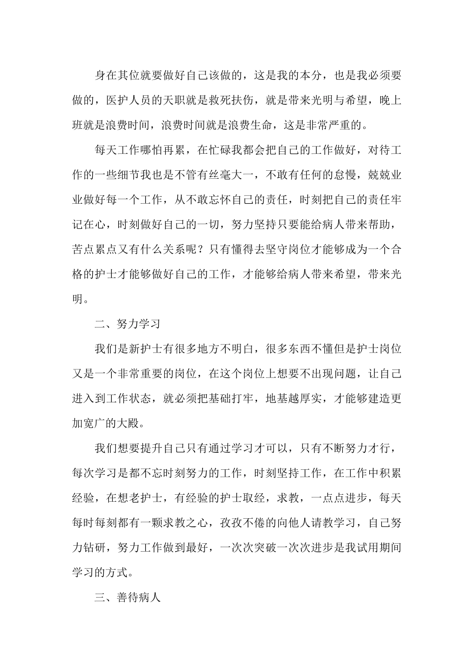 医院试用期护士的个人工作总结范文_第3页