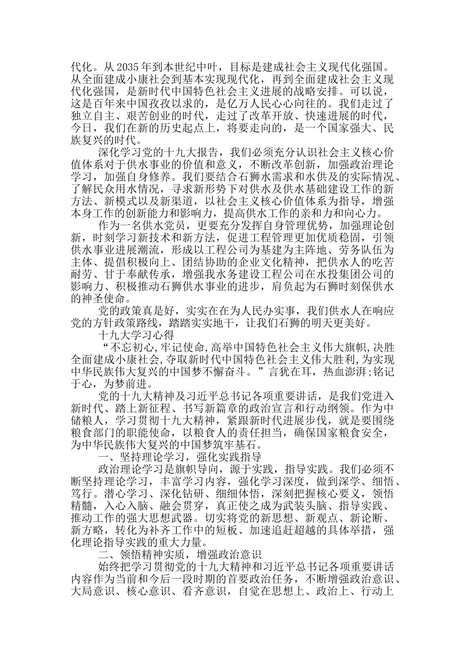 十九大学习心得_第3页