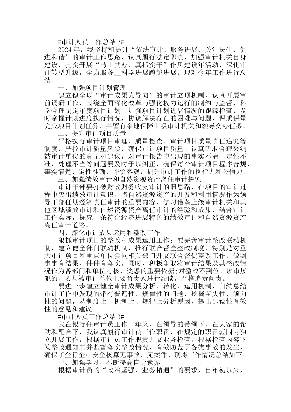 单位审计人员工作总结模板范文_第2页