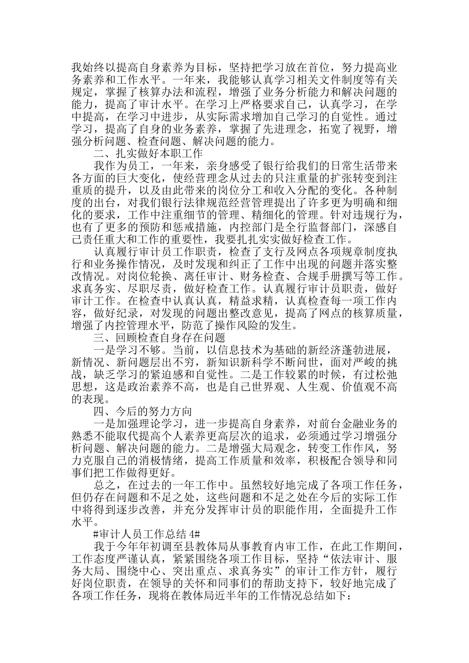 单位审计人员工作总结模板范文_第3页