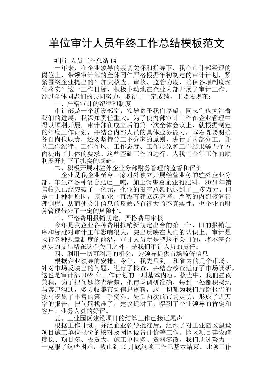 单位审计人员年终工作总结模板范文_第1页