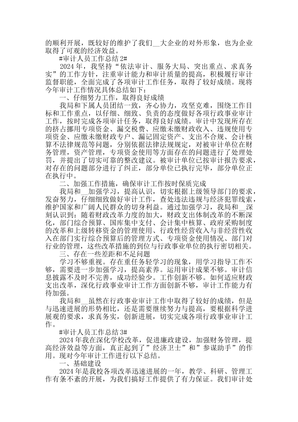 单位审计人员年终工作总结模板范文_第2页