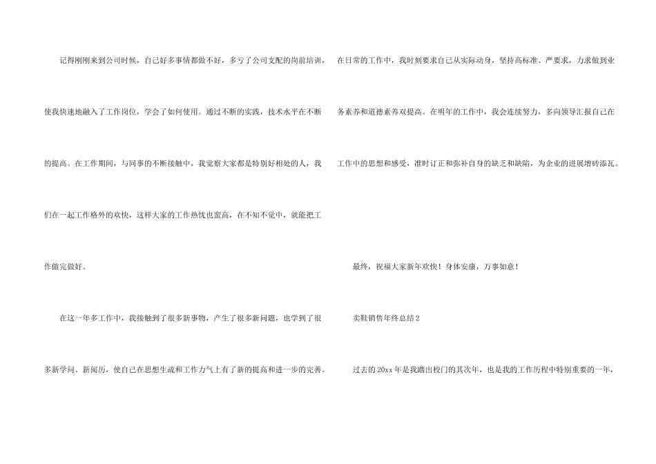 卖鞋销售年终总结_第2页