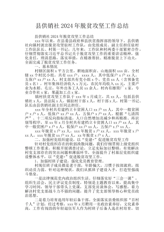县供销社2024年脱贫攻坚工作总结