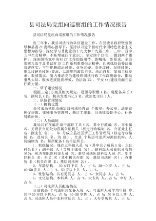 县司法局党组向巡察组的工作情况报告