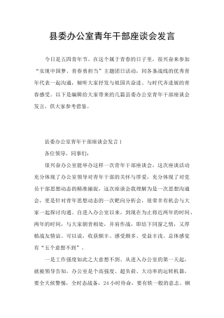 县委办公室青年干部座谈会发言