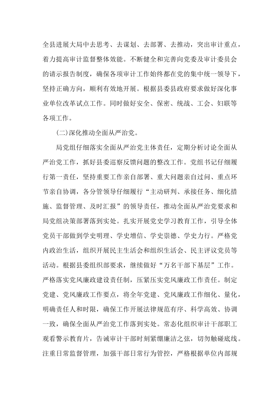 县审计局全年工作要点范文_第2页