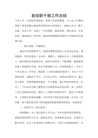 县挂职干部工作总结