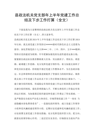 县政法机关党支部年上半年党建工作总结及下步工作打算