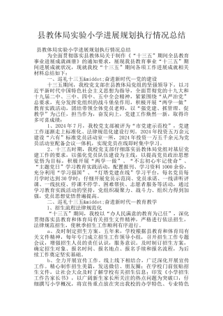 县教体局实验小学发展规划执行情况总结