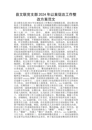 县文联党支部2024年以案促改工作整改方案范文