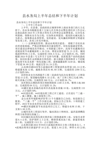 县水务局上半年总结和下半年计划