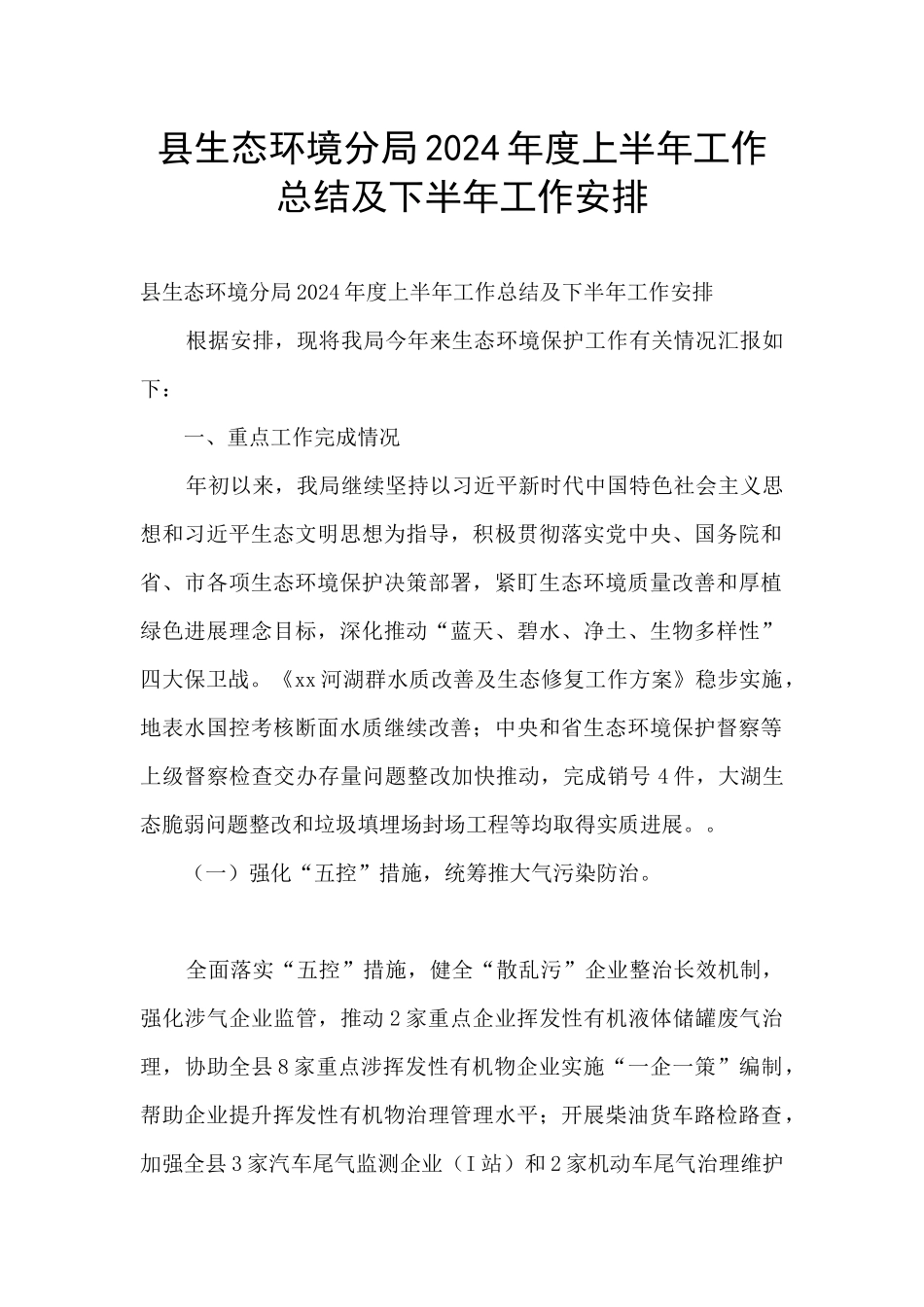 县生态环境分局2024年度上半年工作总结及下半年工作安排_第1页