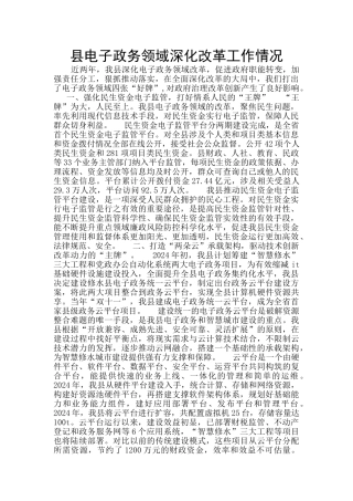 县电子政务领域深化改革工作情况