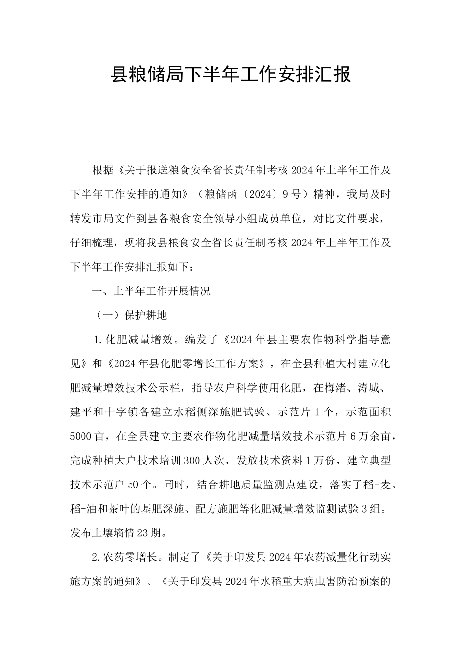 县粮储局下半年工作安排汇报_第1页