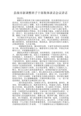 县级市新调整班子干部集体谈话会议讲话