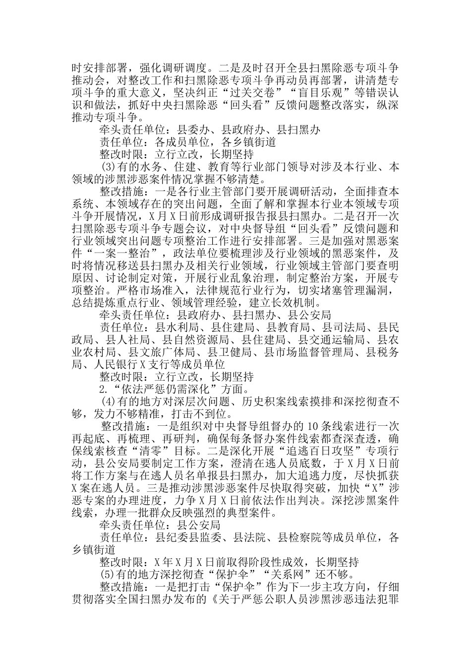 县级扫黑除恶“回头看”工作方案_第2页