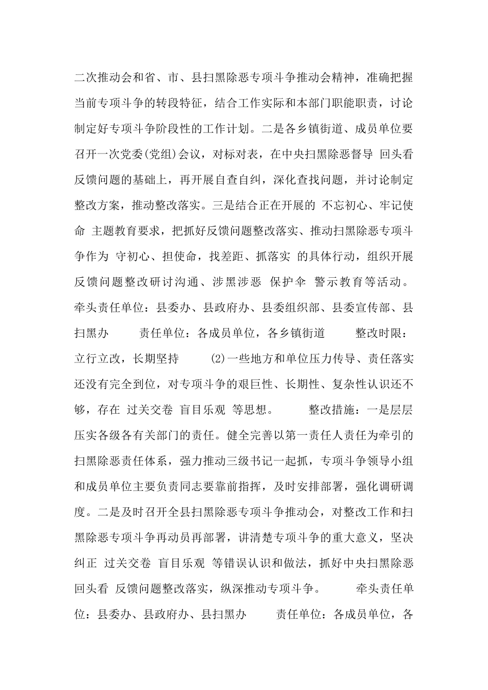 县级扫黑除恶“回头看”工作方案_第2页