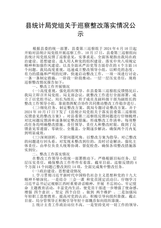 县统计局党组关于巡察整改落实情况公示