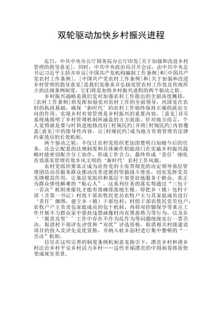 双轮驱动加快乡村振兴进程