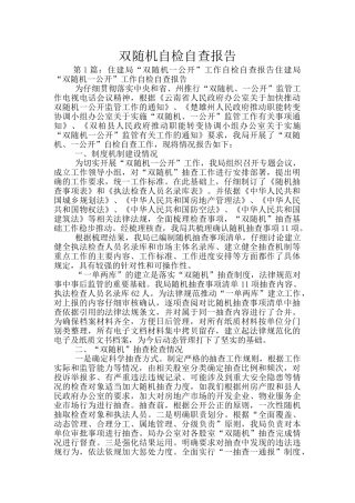 双随机自检自查报告